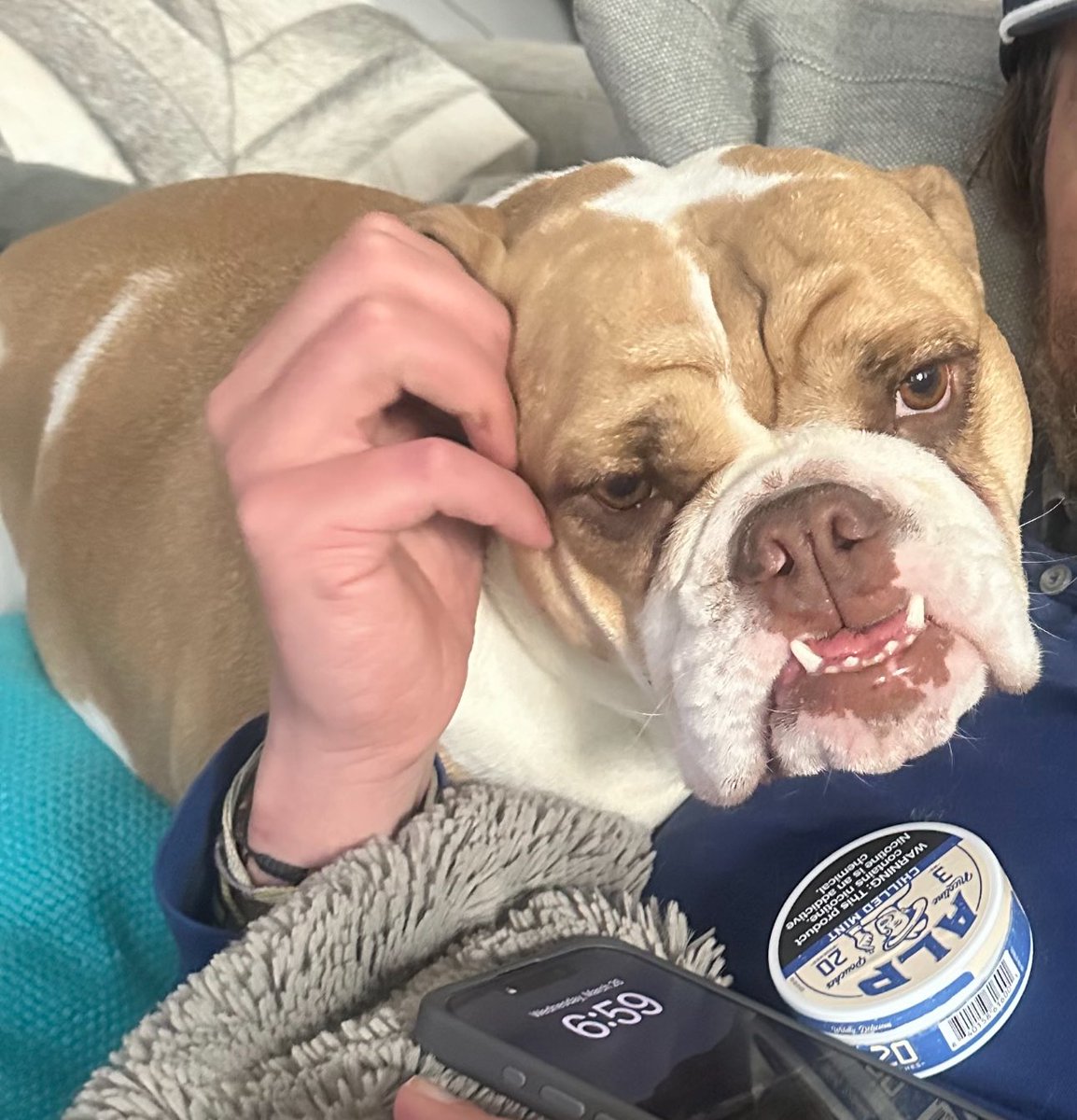 Alp pouches are 100000x better than that other brand, this is how it is done!!  even our English Bully likes them 🤣
<a href="/alppouch/">Alp Pouch</a> <a href="/TuckerCarlson/">Tucker Carlson</a>