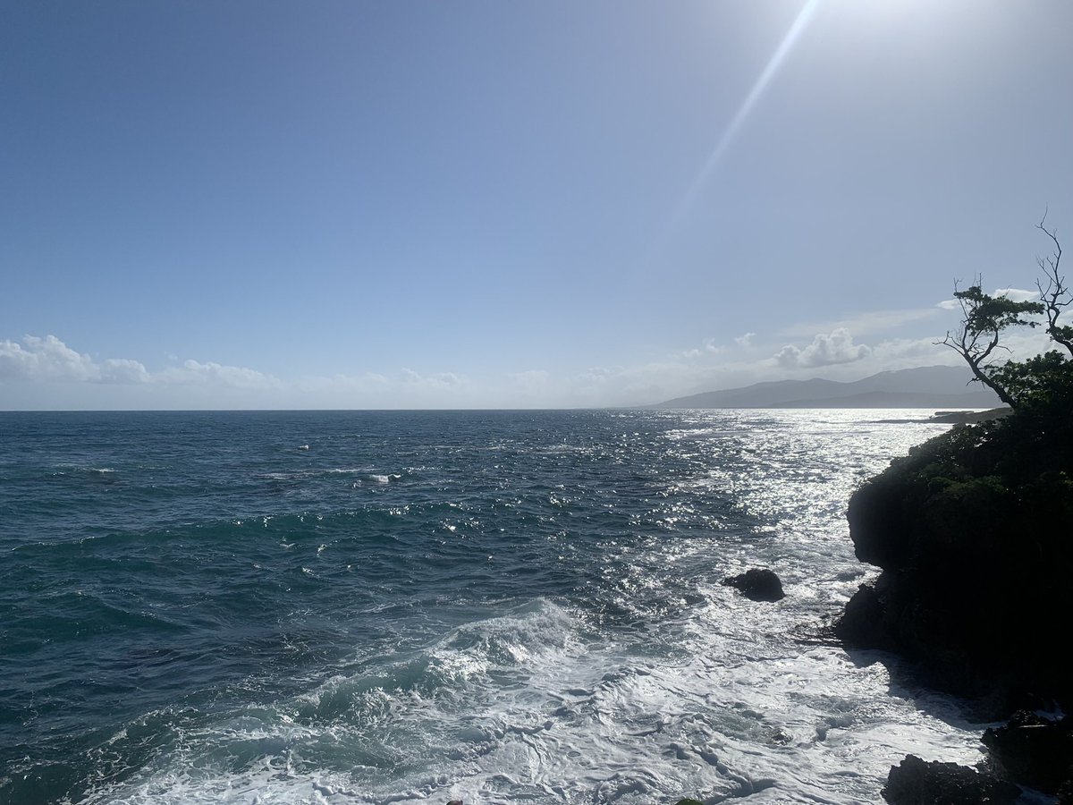 Lenroy James tweet media