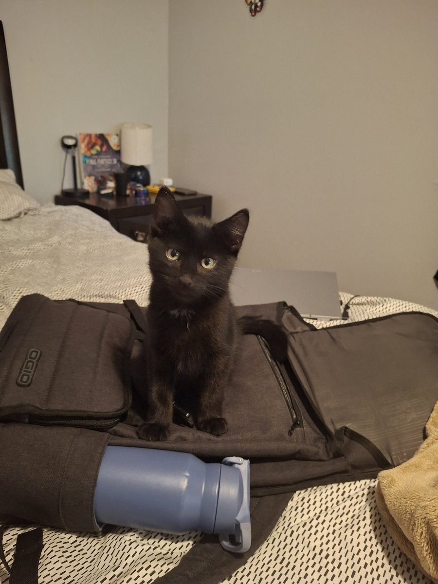 My little void demon is growing fast