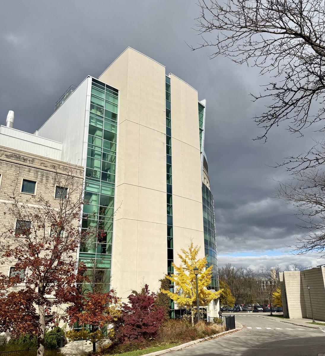 Karas Lab tweet media