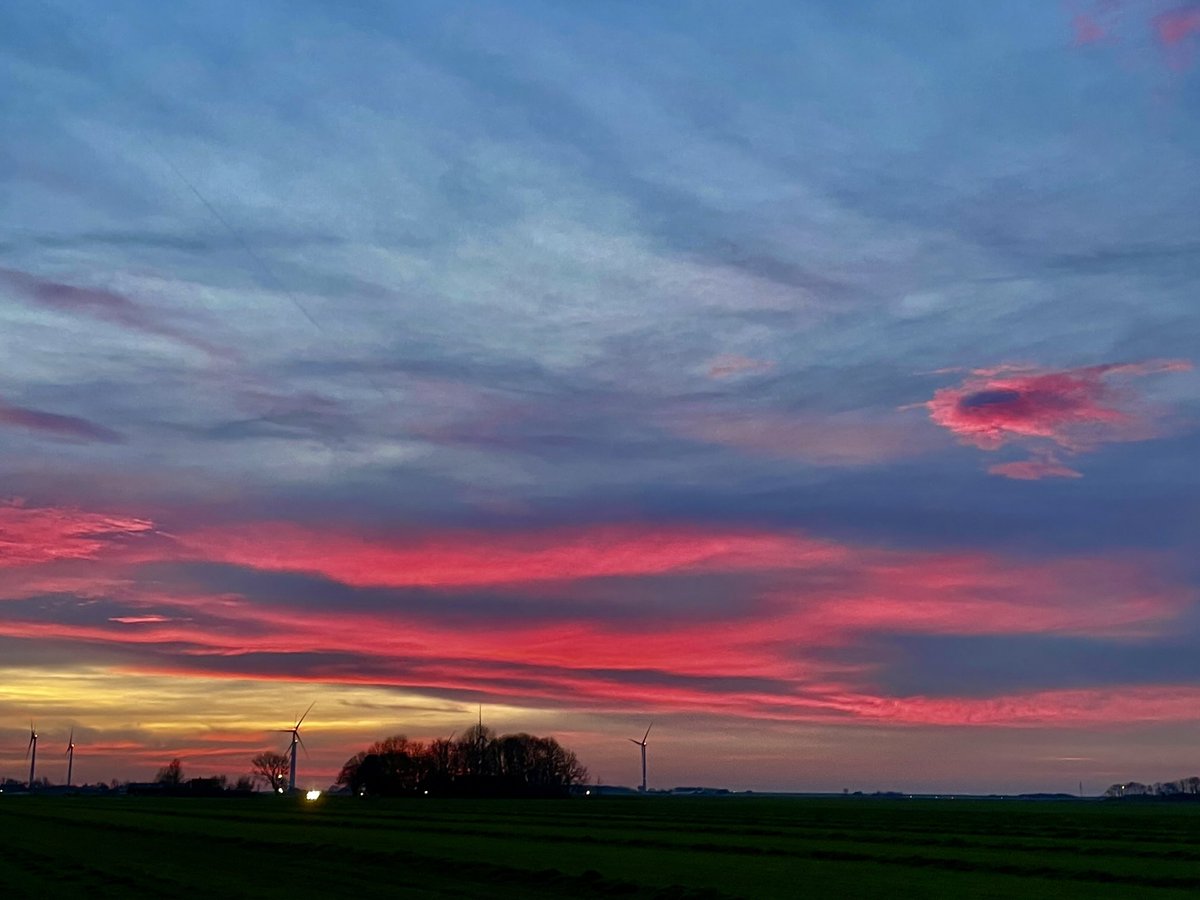 mensonides tweet media