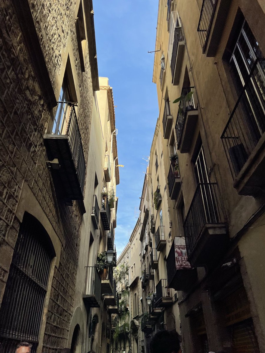 SumedhaUppal's tweet image. lanes worthy of getting lost in