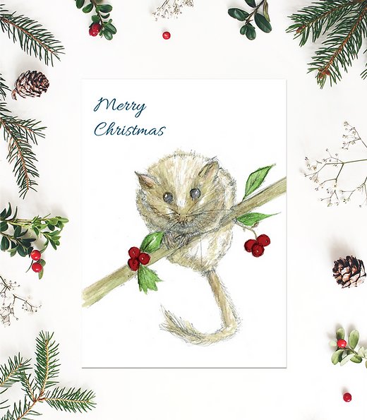 morvennauk's tweet photo. These Christmas dormouse greeting cards are one of my favourite designs! Available individually or in packs of 6, these are printed on conquerer uncoated stock, a lovely textured card stock! #morvenna #xmas #xmascards #nature #scotlamd #scottishchristmas https://t.co/jtmO305cXK https://t.co/4mzjyfjVnY