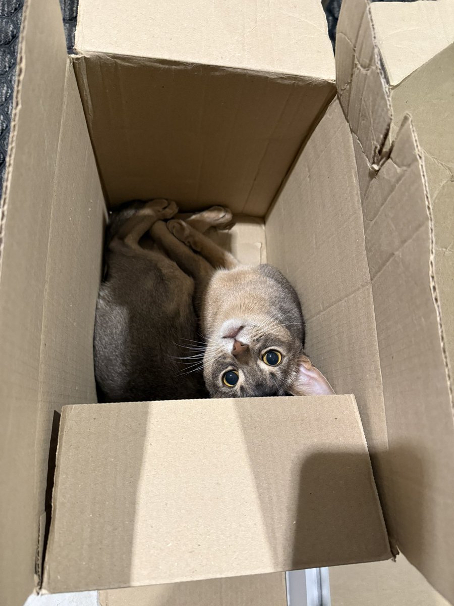 Мама,я взял ипотеку🥹