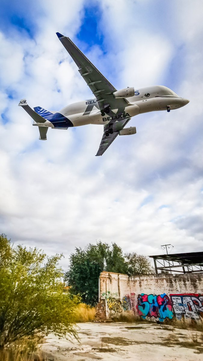 Llevo 6 años viéndolo a diario y os aseguro que es imposible cansarse de ver algo así. #Airbus #Beluga