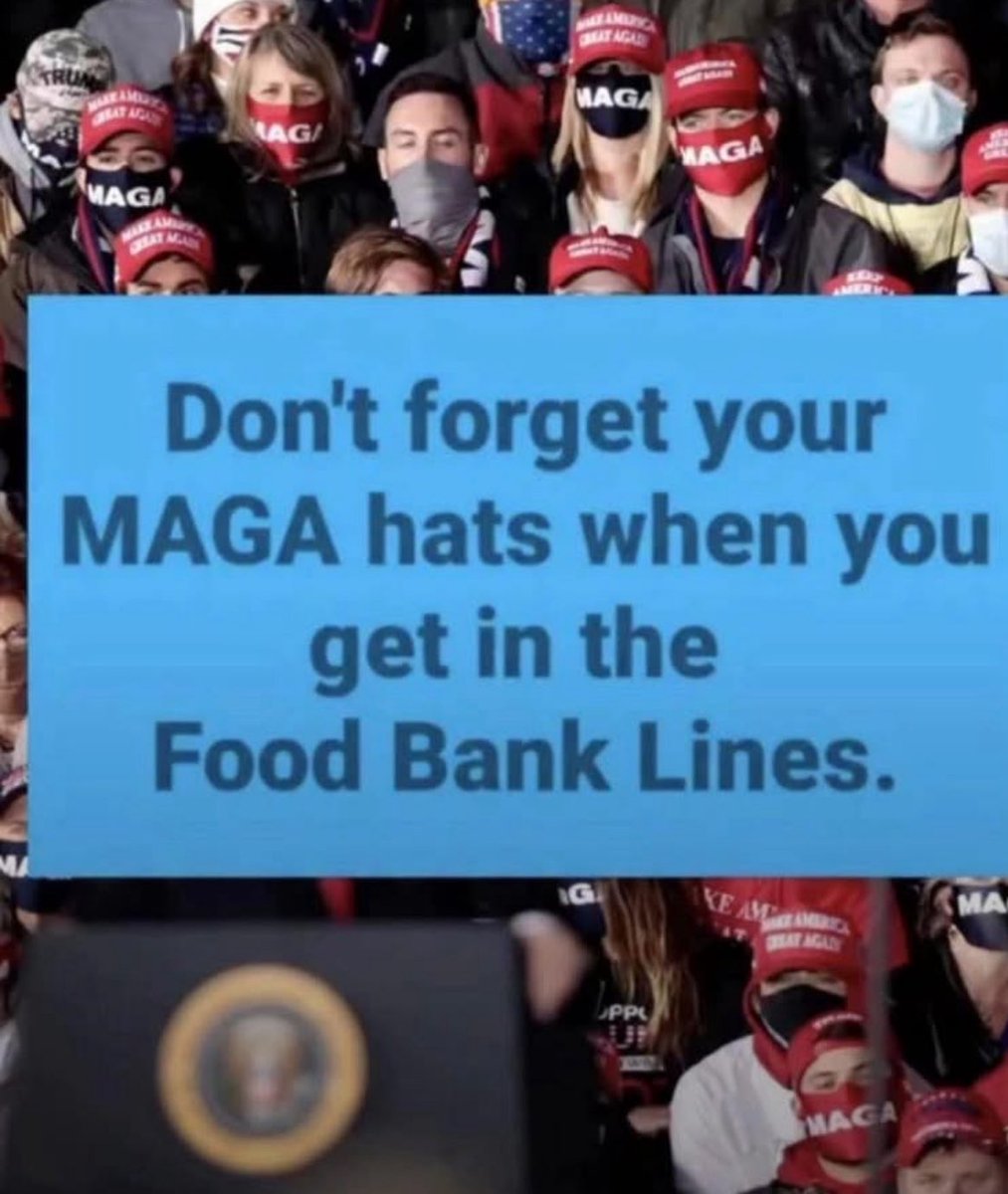 Marina Miranda 💚 tweet media