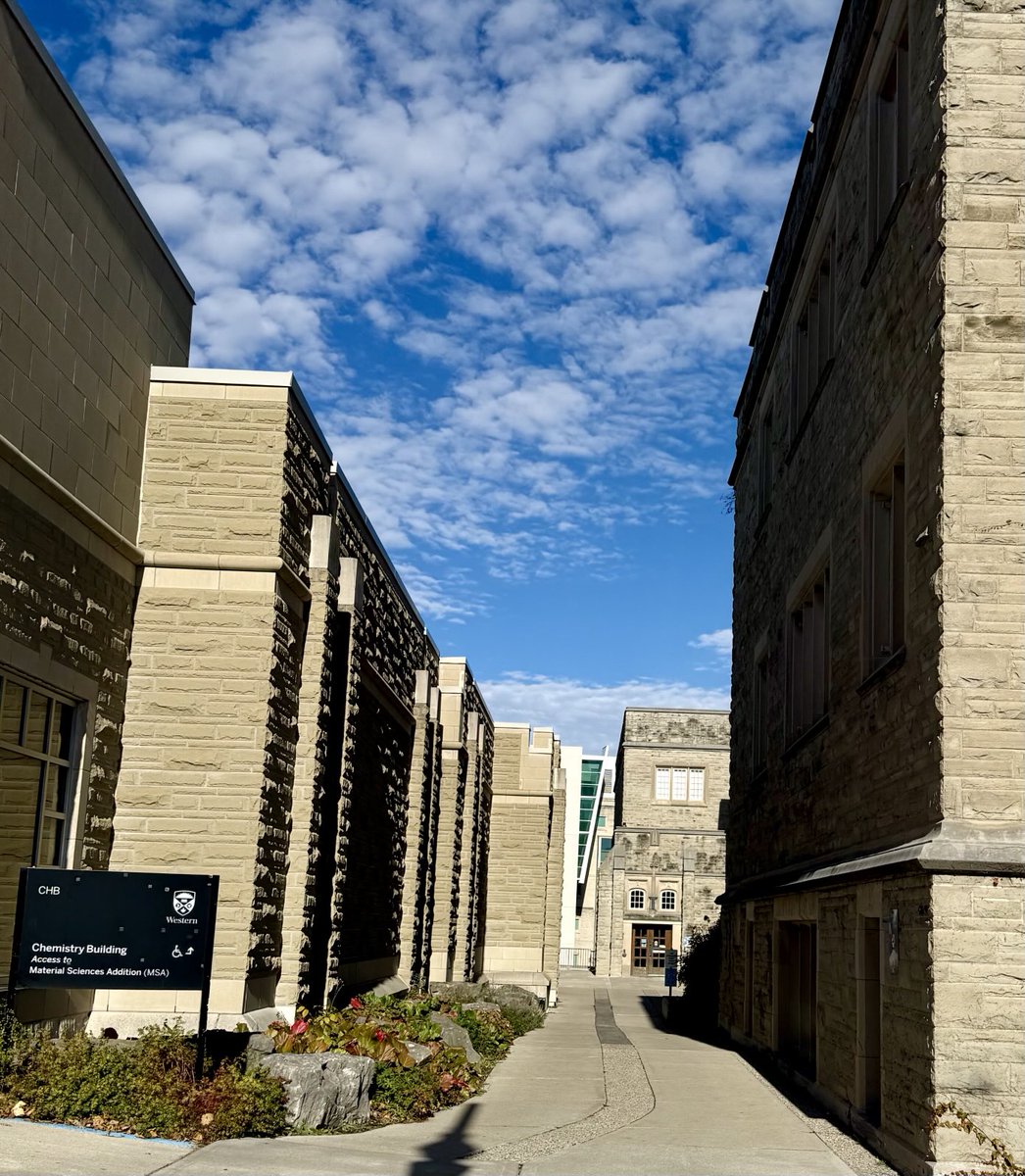 Karas Lab tweet media