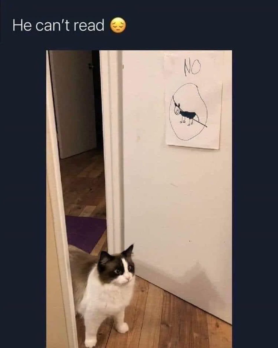 place where car shouldnt be (@carshouldnt) on Twitter photo 