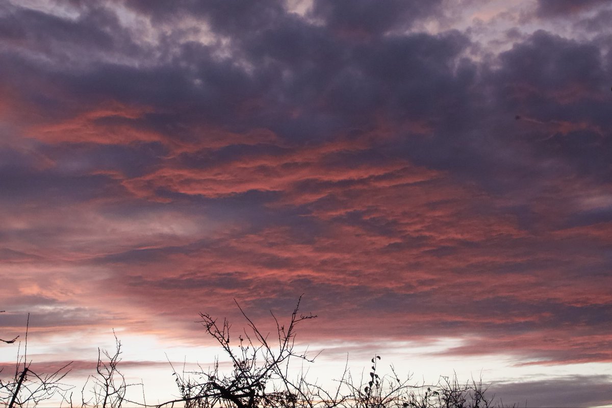 Frank Cackett tweet media