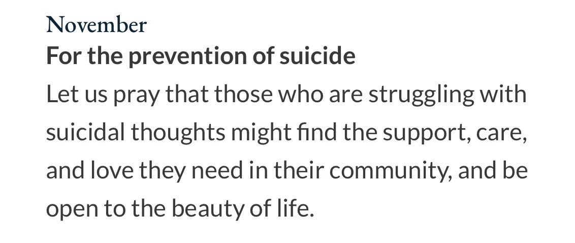 In your charity, please pray for the Pope’s November intentions, for those tempted to suicide, and for all those who have died by their own hand