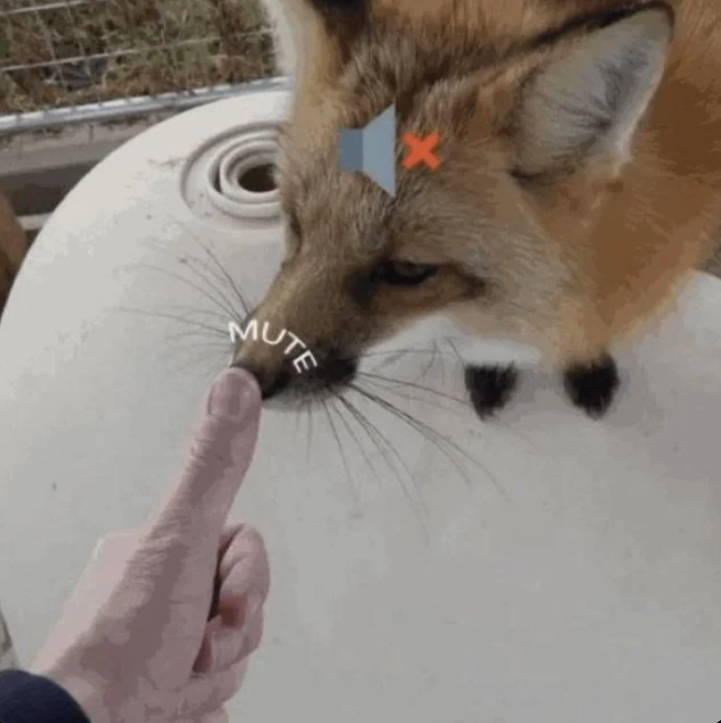 *mutes you*

stop being so damn loud