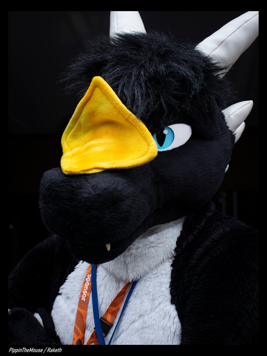 The moment I got cheesed by <a href="/PippinTheMouse/">Pippin the Mouse</a>.

Whatever happened to dragons being feared? 😢

#fursuit #furry