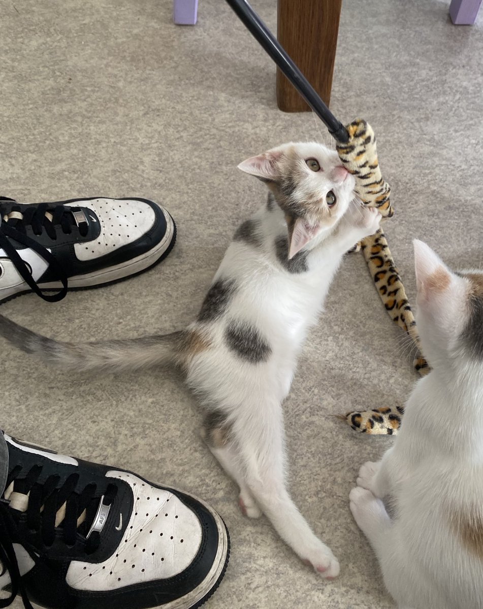 jeudi rime avec…. #toupiebibi 🍼