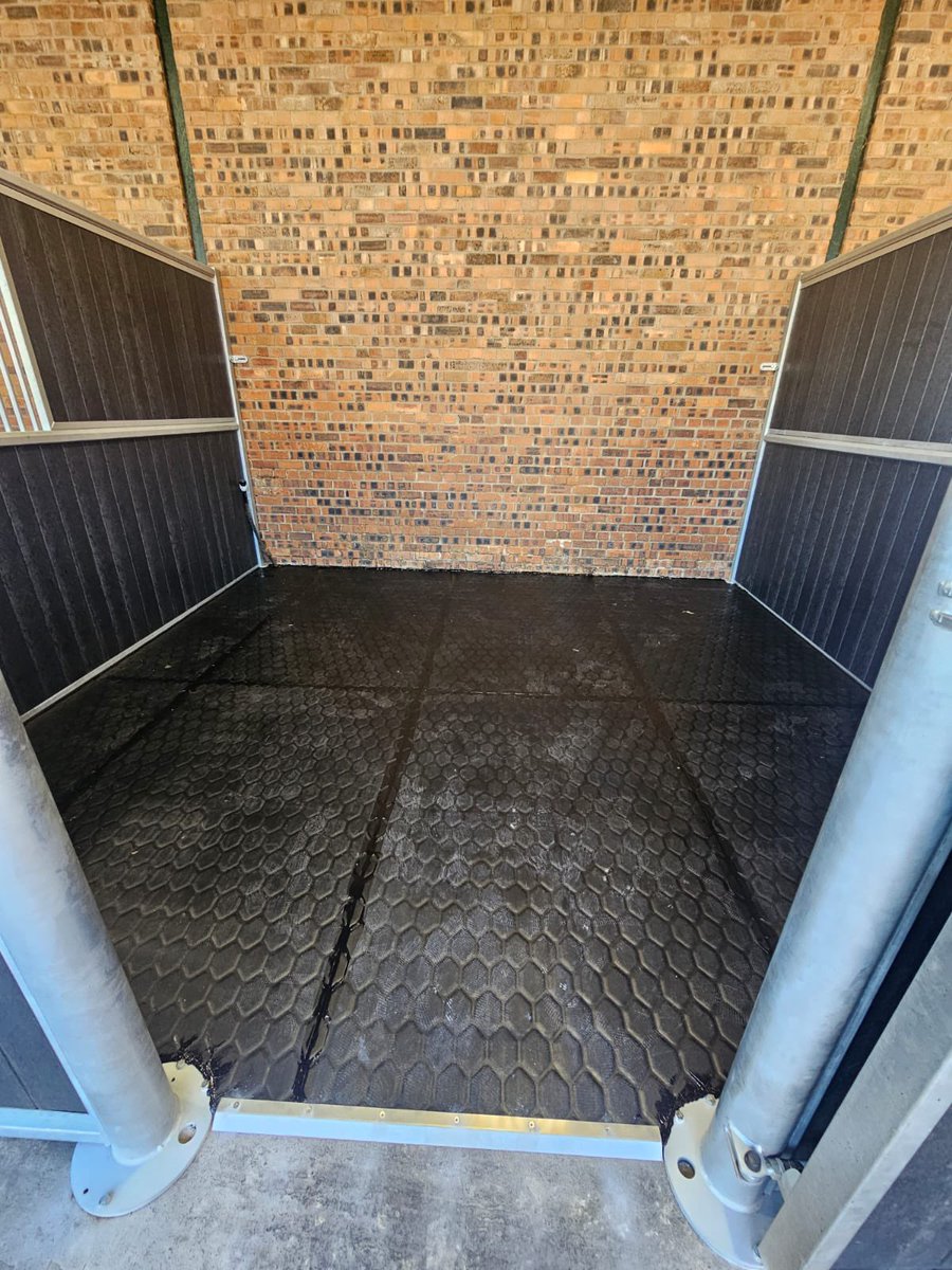 EASYFIX Equine tweet media