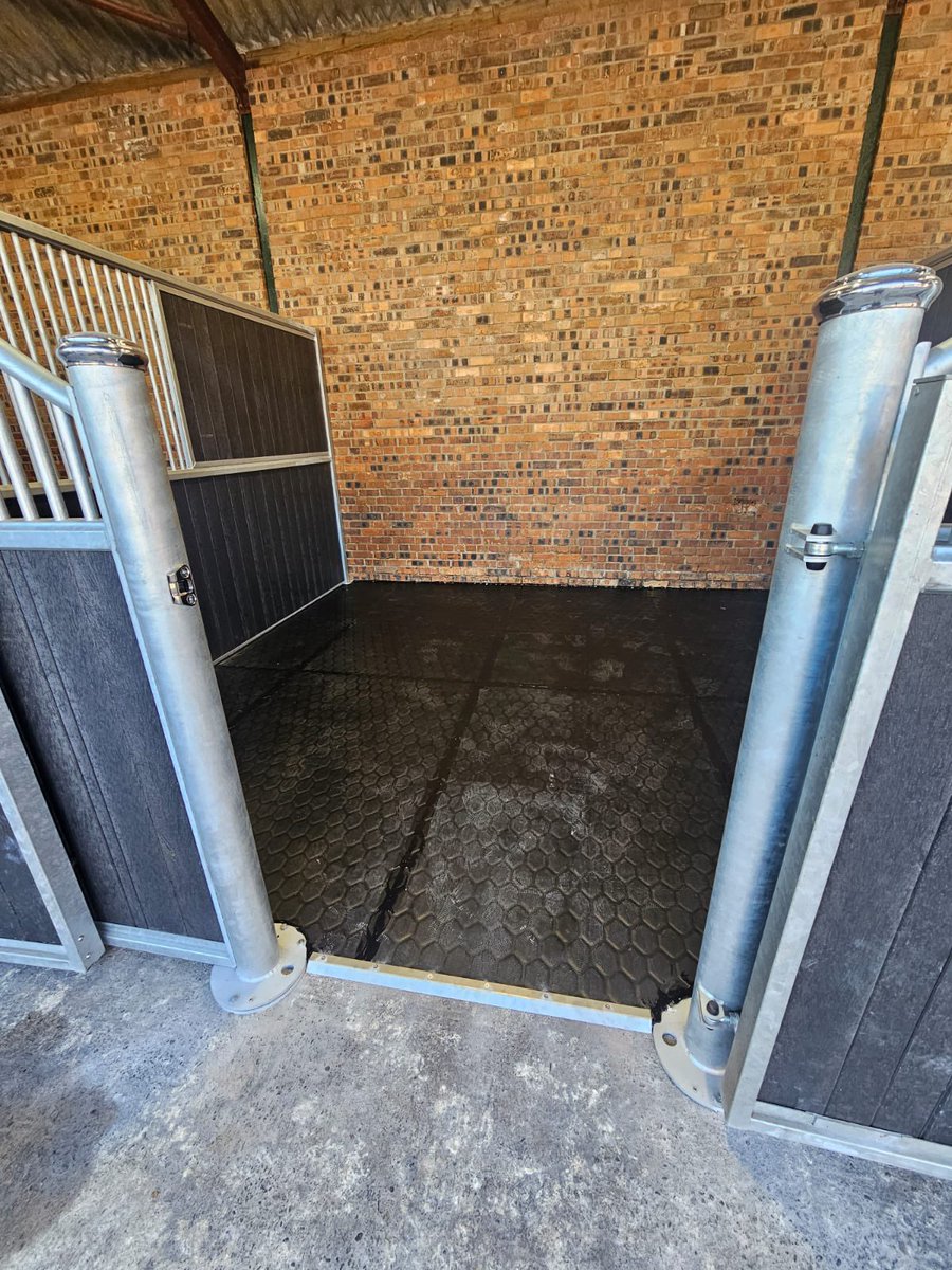 EASYFIX Equine tweet media