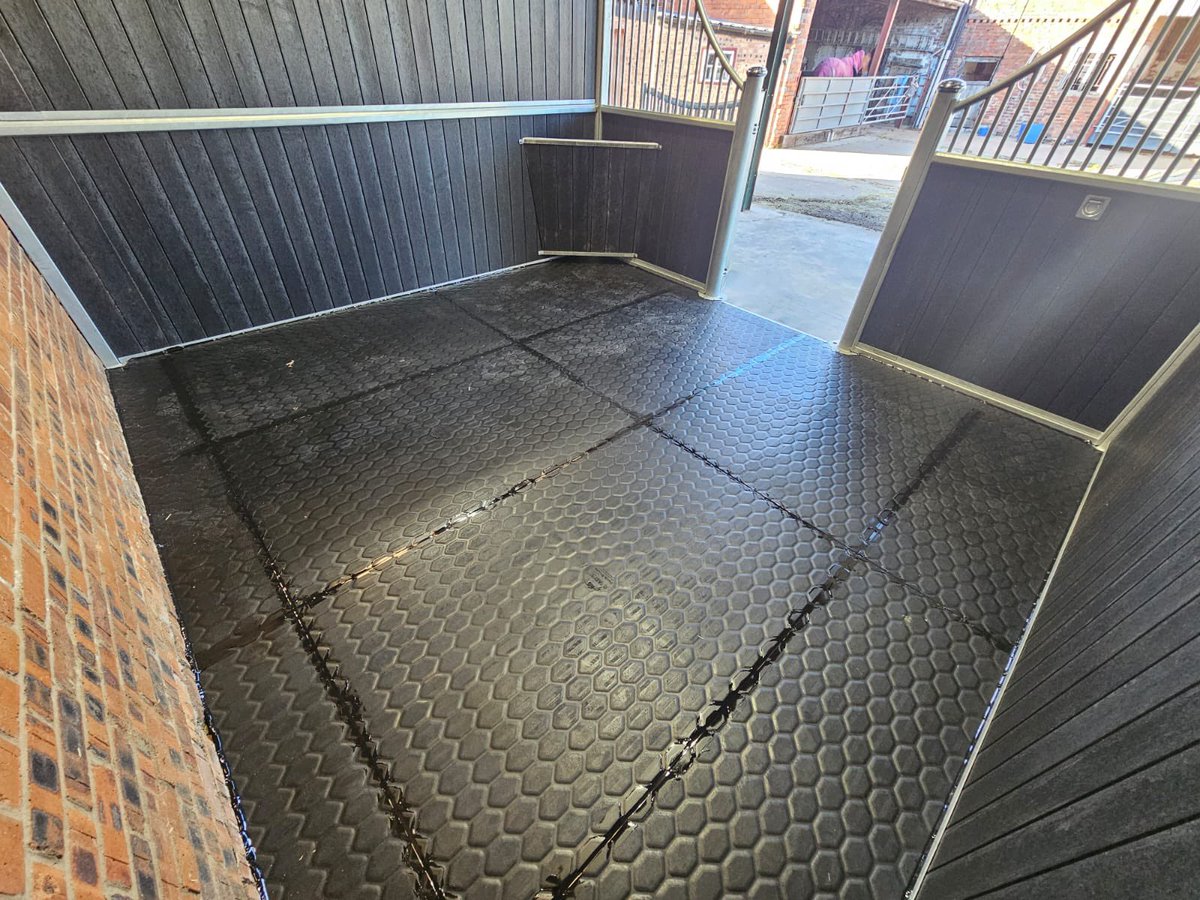 EASYFIX Equine tweet media