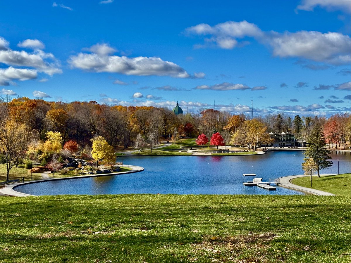MichelineWilkie's tweet photo. Quand l’automne achève, la montagne sent la cannelle et les vaillants écureuils font leurs provisions. L’hiver est à nos portes; savourons pleinement ces journées ensoleillées!🍁🌞🐿️ @Monmontreal @Montreal #parcdumontroyal #automnequebec @WalkMontreal @beimeizaixian1 https://t.co/EASEk29tuq
