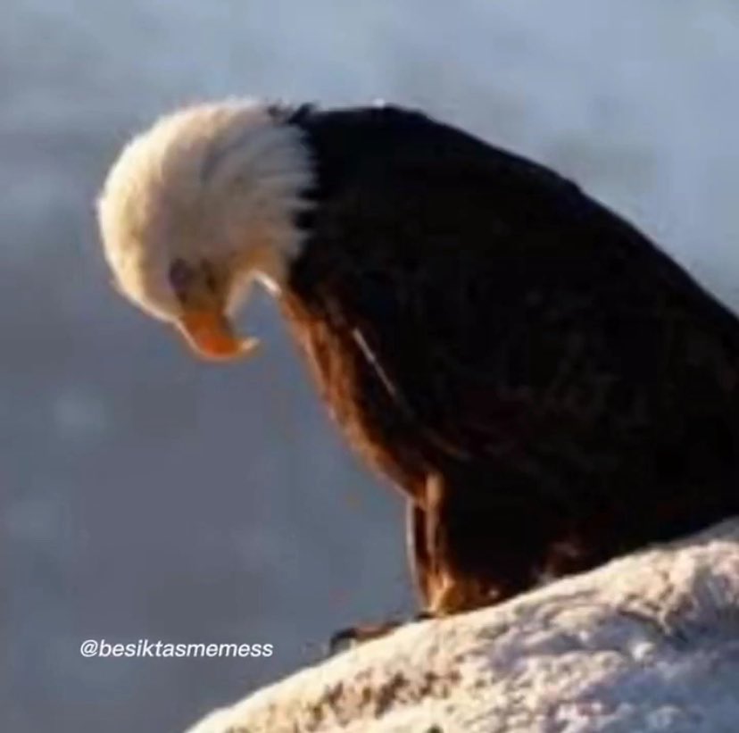 bazen çok fazla istemek, hata yapmanıza sebep olabiliyor..