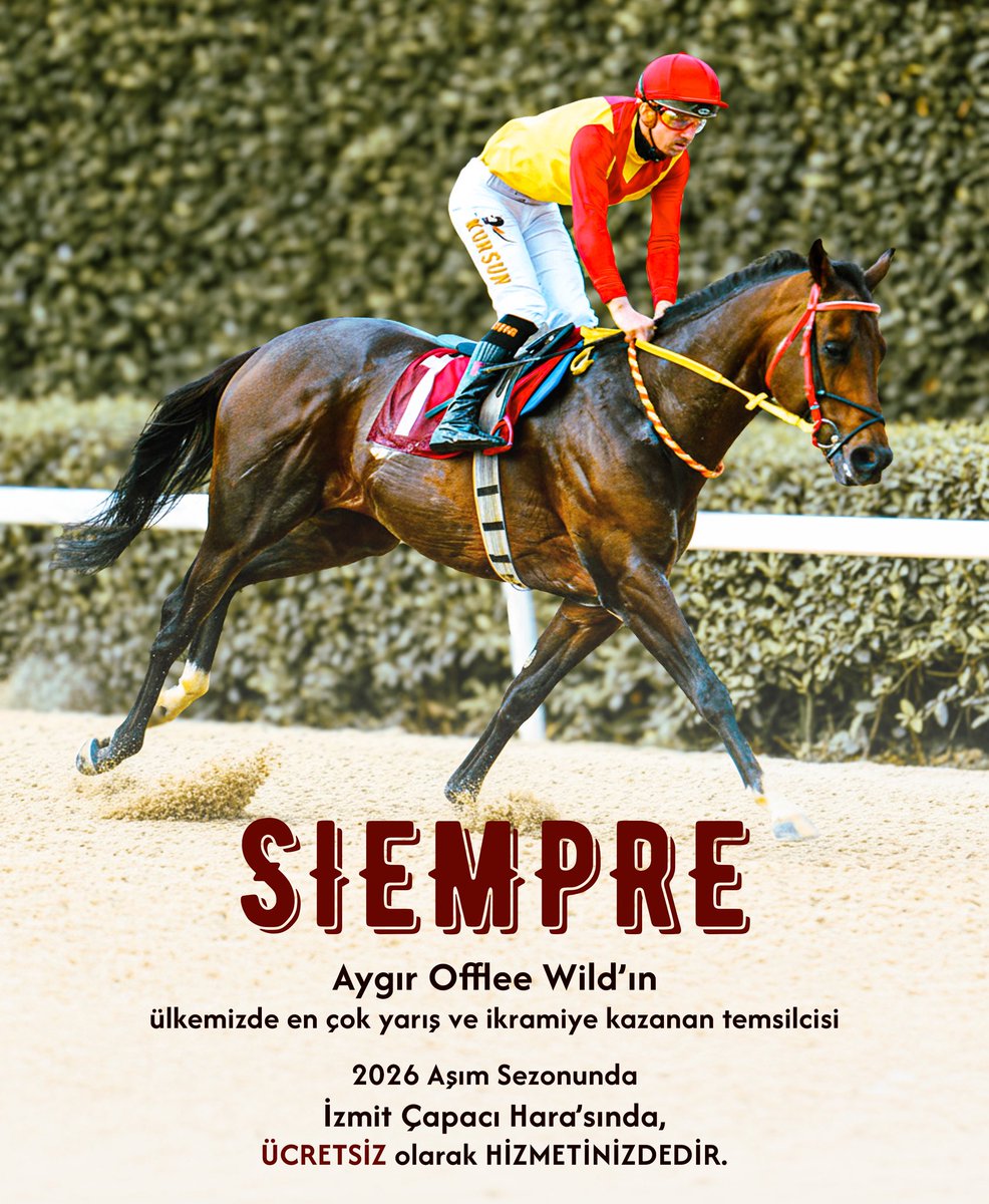 Capaci Stud 🇹🇷 (@capacistud) on Twitter photo 