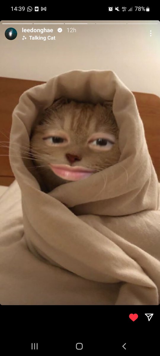 vesperjinn's tweet photo. #Elfselcaday
Escogí esta xq además de adorable, mailob #Donghae es un #catlover como yo https://t.co/xn5JWUHkq0