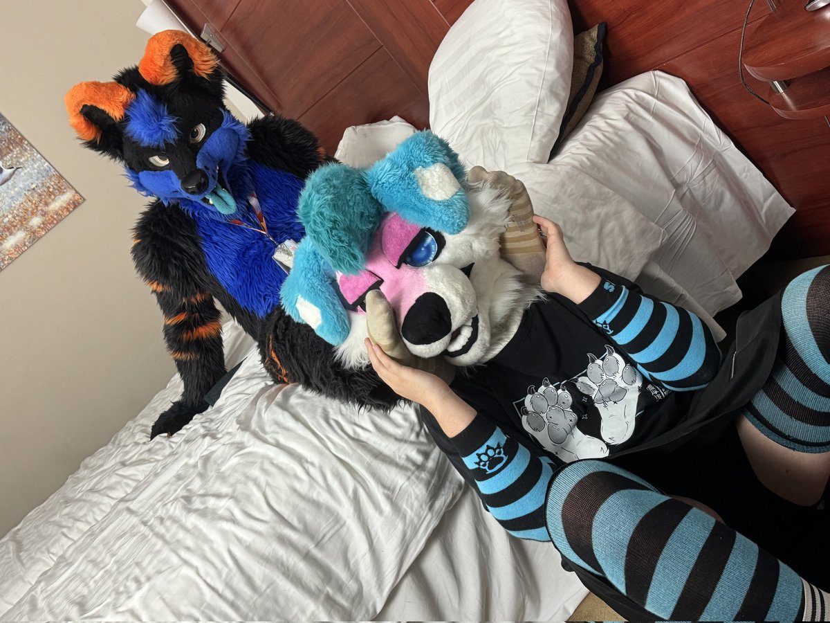 mellyrubberpup's tweet photo. mhhh giving @Foxiefeets socked feet the attention they deserve ~ https://t.co/8zJpKleJcR