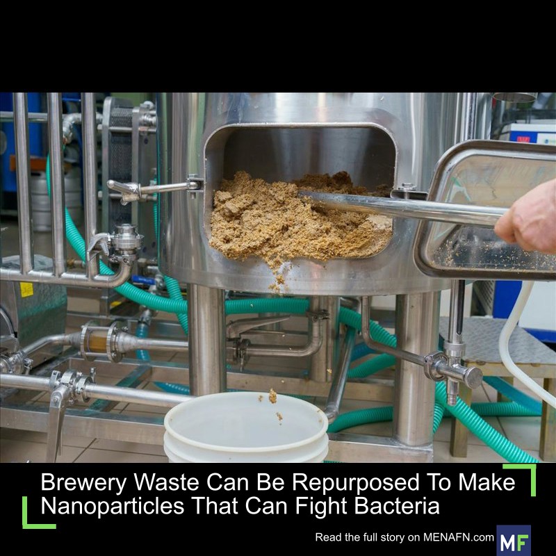 MENAFN's tweet image. Brewery Waste Can Be Repurposed To Make Nanoparticles That Can Fight Bacteria #Brewery #Waste #Repurposed #Make #Nanoparticles #That #Fight #Bacteria #Factory #Output #Production #Appliance #Equipment dlvr.it/TP6g8T