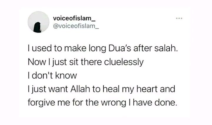 الرَّيَّان tweet media