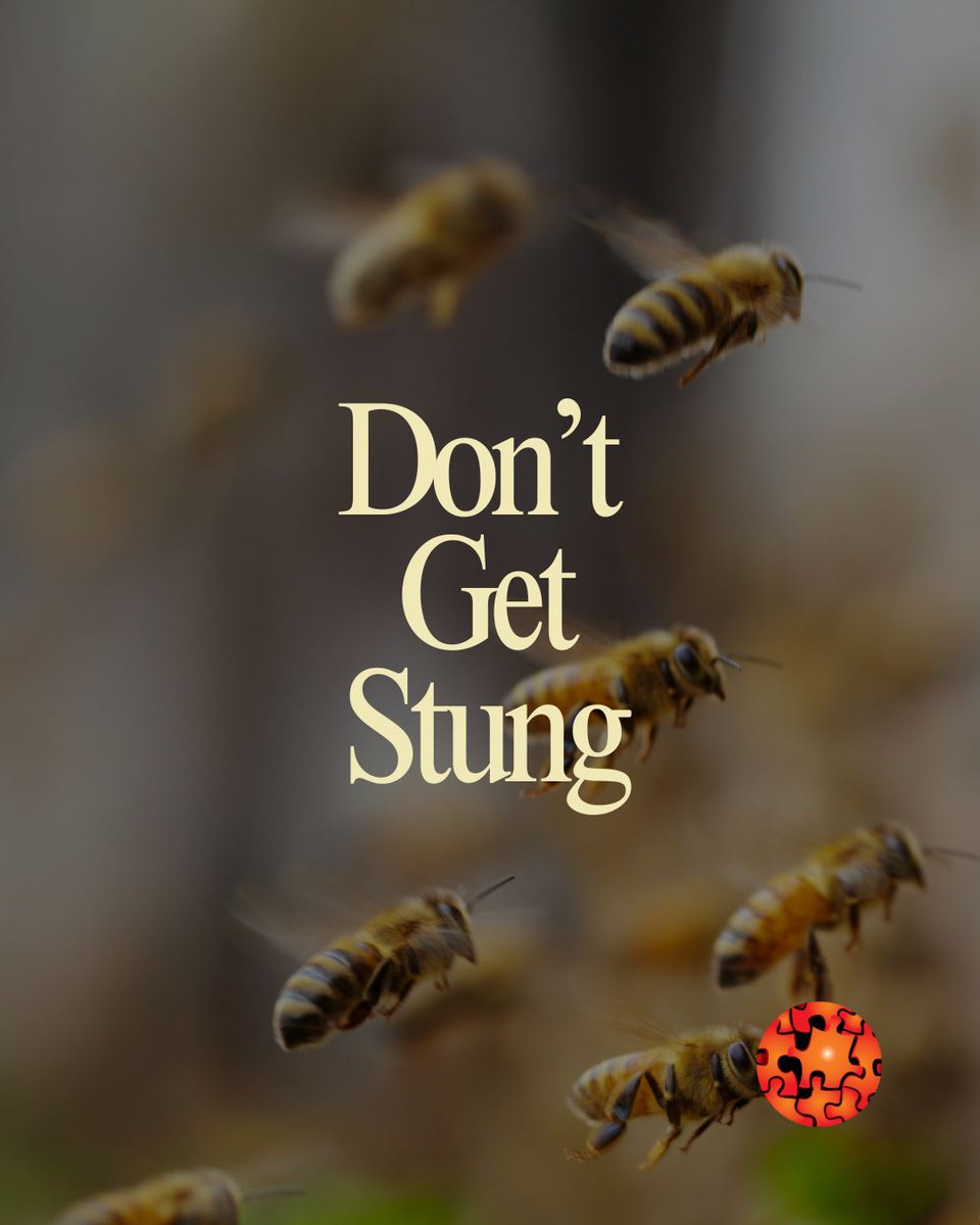 SoftwareTrainer's tweet image. When I first started building websites, I realised small business owners were getting stung

So, I built something better.

A clear, fixed-price website package that gives you everything you need for a professional online presence.

Under £200 

DM “INFO” to grab your spot.