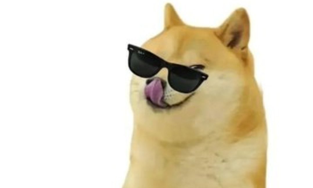 selsisur tweet media