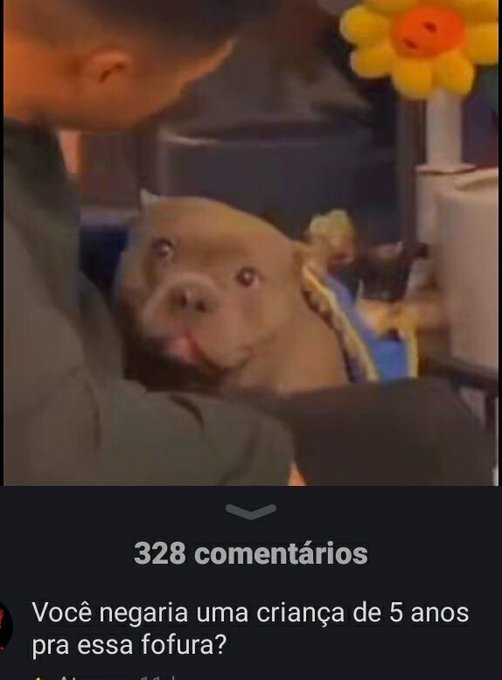 negaria? 🥰