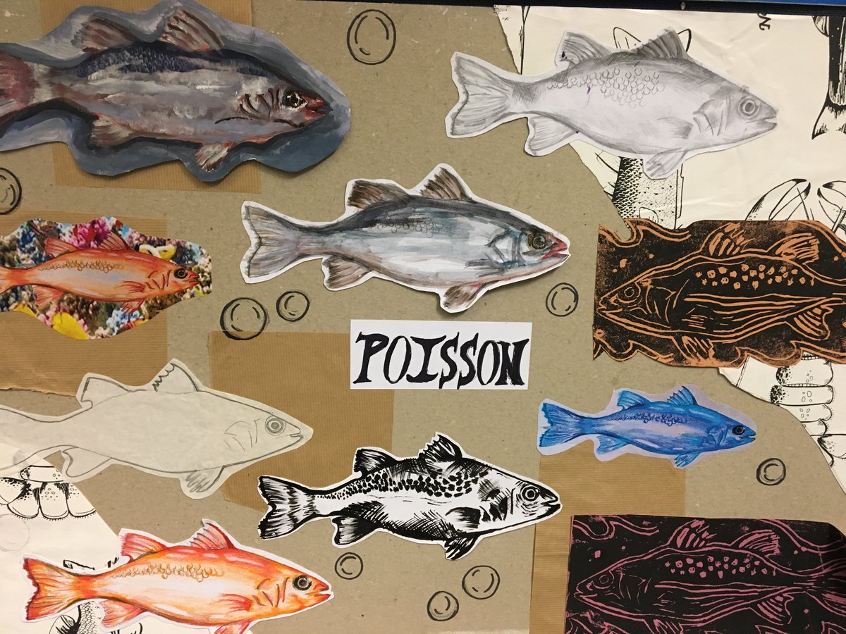 sacredheartrcuk's tweet image. 🎨 Y10 Art – ‘10 Lessons, 10 Techniques: Fish’ 🐟
Our talented students made a splash with vibrant artwork exploring colour, texture &amp;amp; technique through the theme of Fish! 🌊👏
#SacredHeart #ArtDepartment #CreativeLearning #StudentTalent