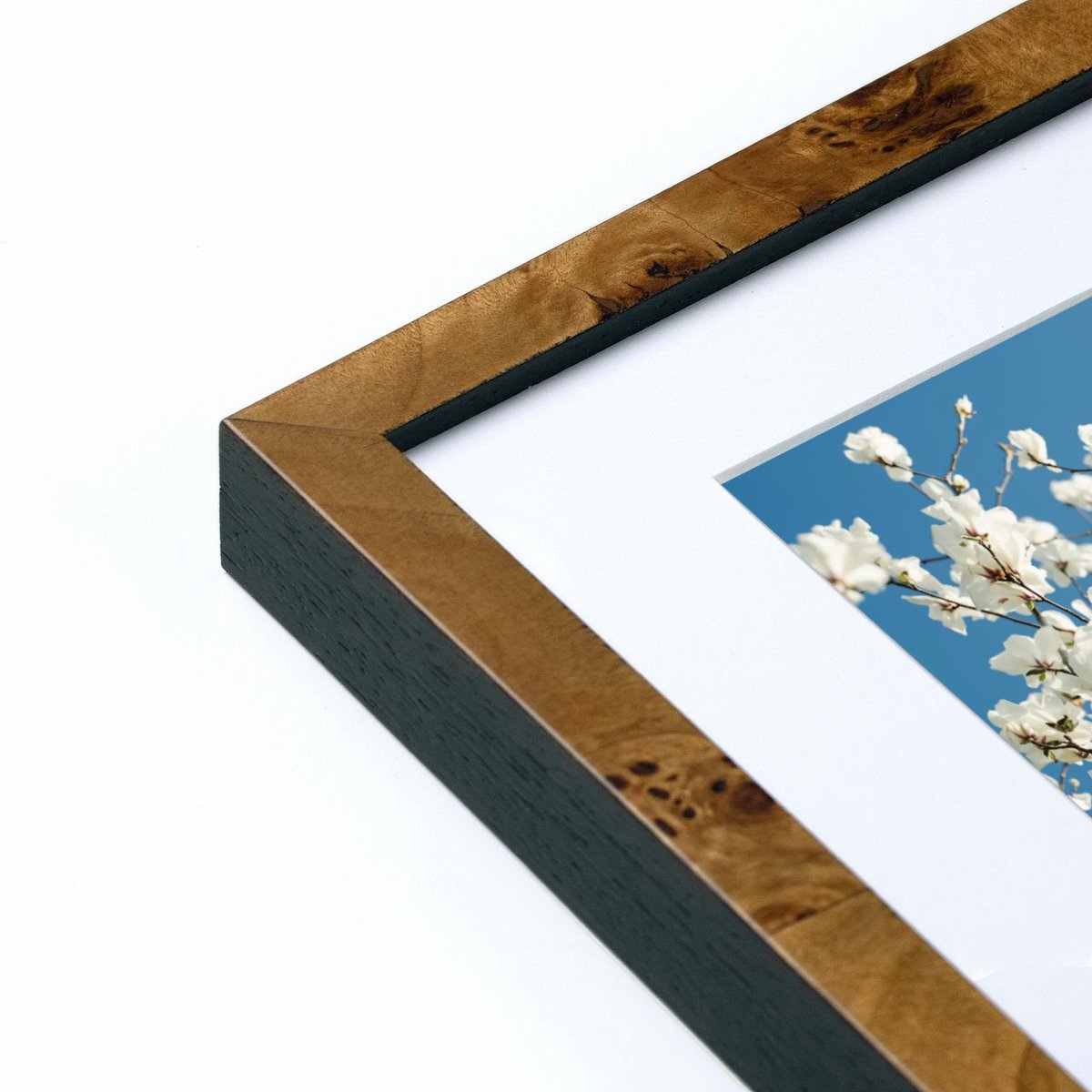 Meet Burlwood, our newest frame style!

There’s something special about this profile, with its natural grain, swirling patterns and a vintage-meets-modern vibe. Now available in two tones and ready to elevate your photos, art, and memories. ✨