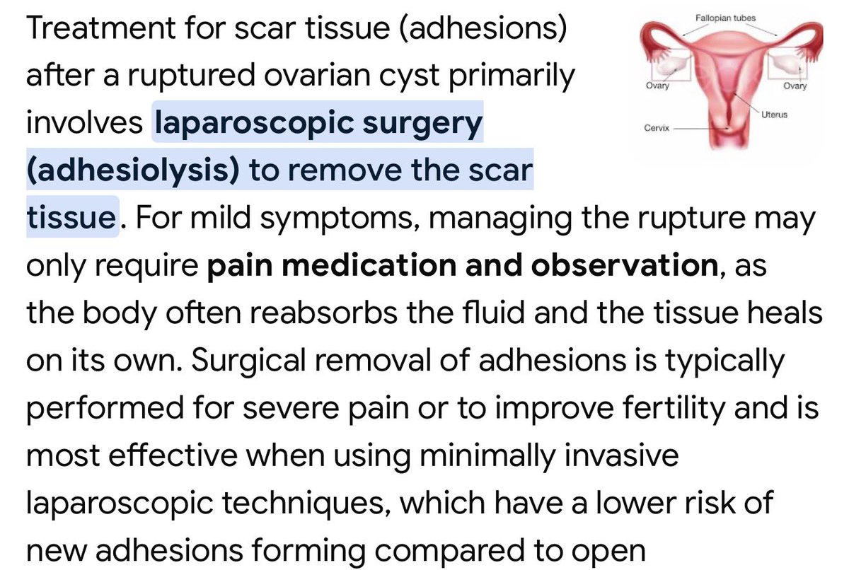 Based Savannah’s Sister Charley tweet media