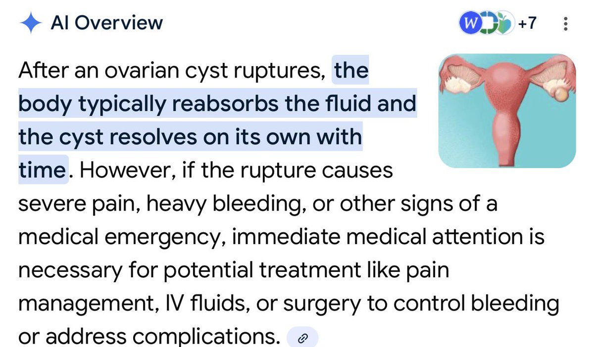 Based Savannah’s Sister Charley tweet media