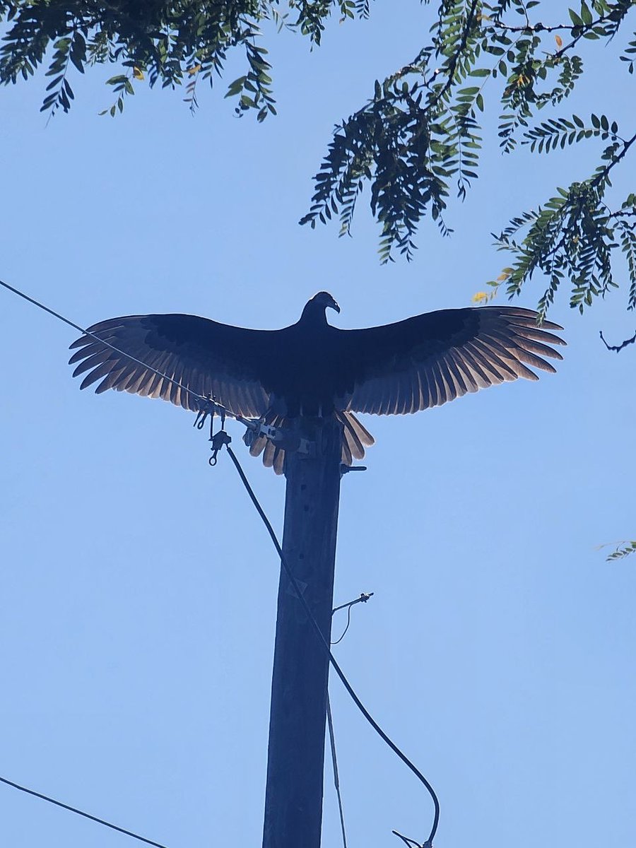 marviefashion's tweet image. #Wizkidfc #wizkid ❤️🦅