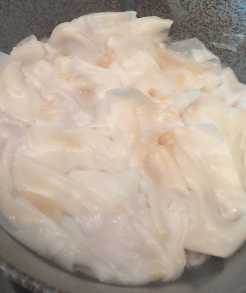 銀河希歐塔🦦🌟委託開放中ㄉ哇獺空海獺🌟 tweet media