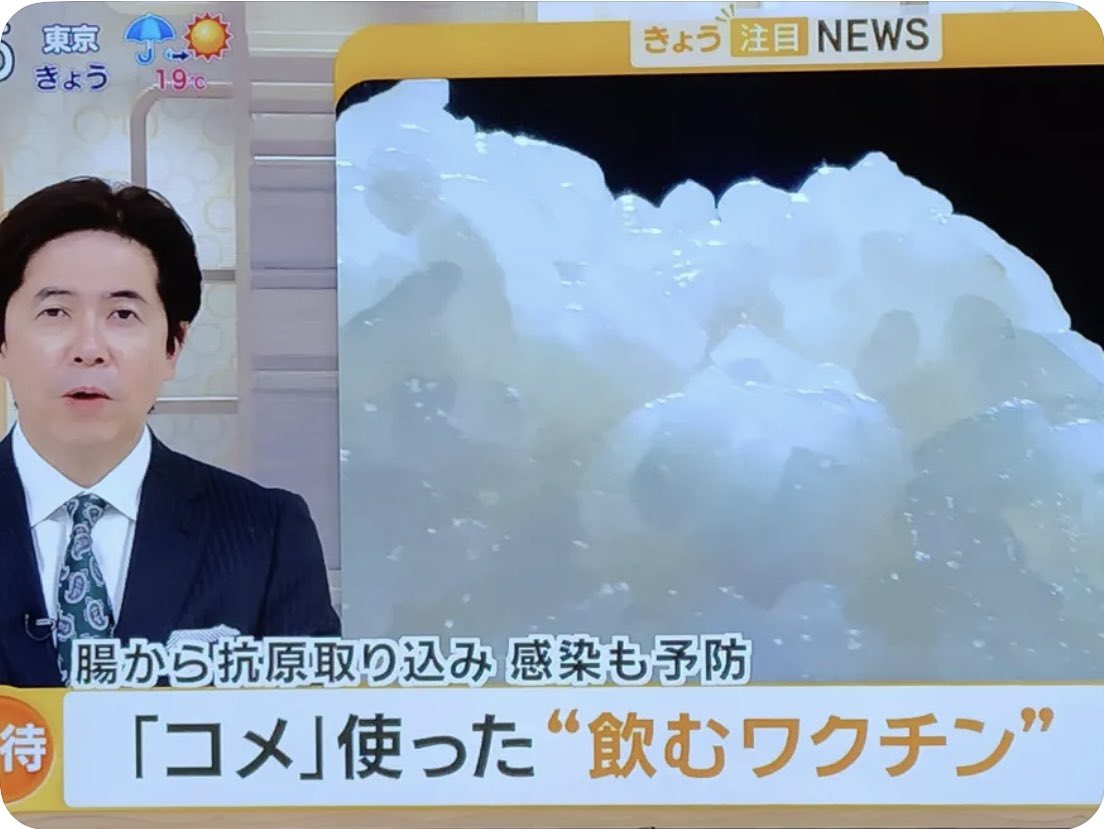 にっく18 (@nick18rice) / Posts / X