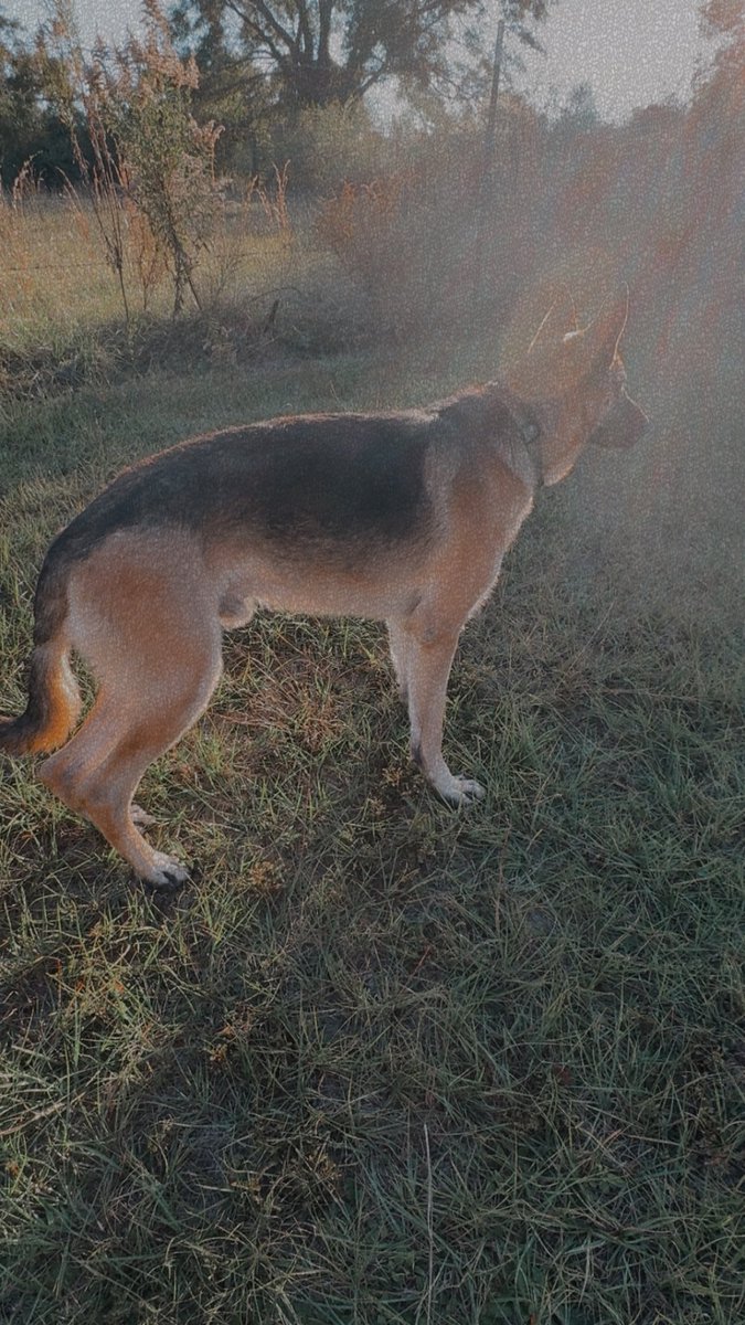 💓Nikki💓 tweet media