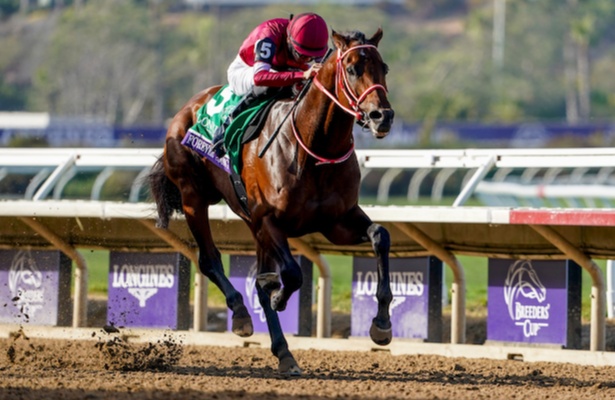 Division rankings: <a href="/DoctorDerby/">Chip Gehrke</a> offers 5 takeaways from this year's <a href="/BreedersCup/">Breeders' Cup</a> 

horseracingnation.com/blogs/Doctor/D…

📸: Shamela Hanley / Eclipse Sportswire