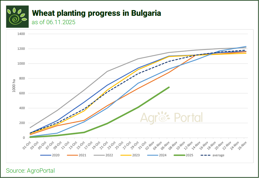 AgroportalBG's tweet photo. 🇧🇬 🌾#Wheat sowing in #Bulgaria is progressing at the slowest pace in the last 5 years - AgroPortal.
As of Nov 6, only 680K ha are #sown — 27% less than 2024 and 34% below the 5-year average.
Just 54% of planned area are complete.
More: https://t.co/EWV5GIeIaX

#wintercrops https://t.co/jU6SFbdo8T