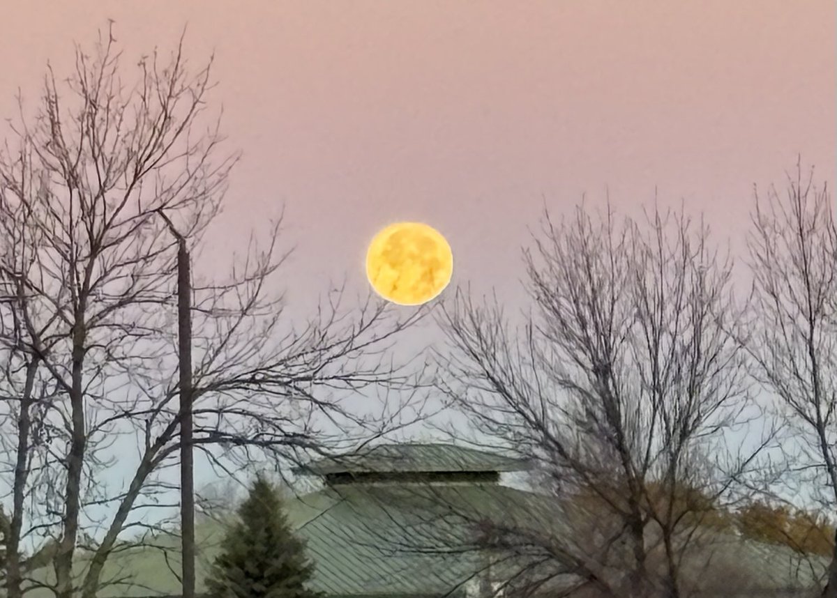 Jamie Skjeveland tweet media