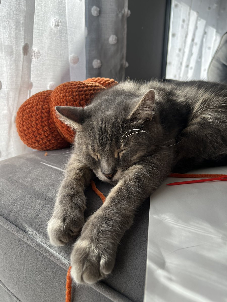 urdumblewhore's tweet image. 🫦🫦🫦