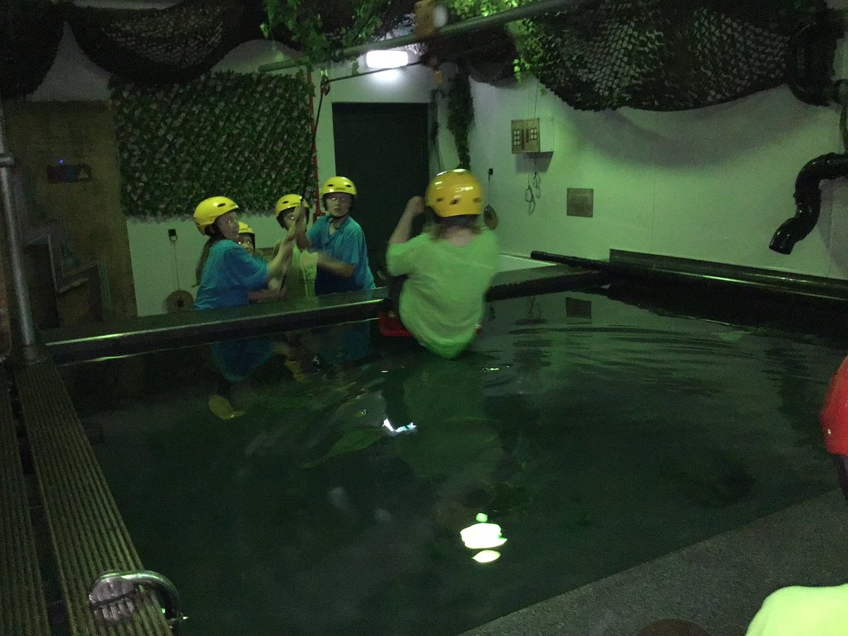 Ralph Butterfield Primary School tweet media