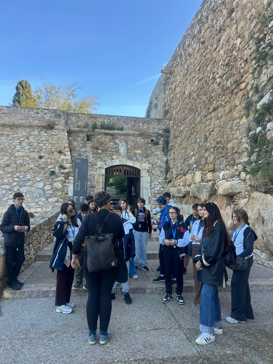 Institut Ramon de la Torre tweet media