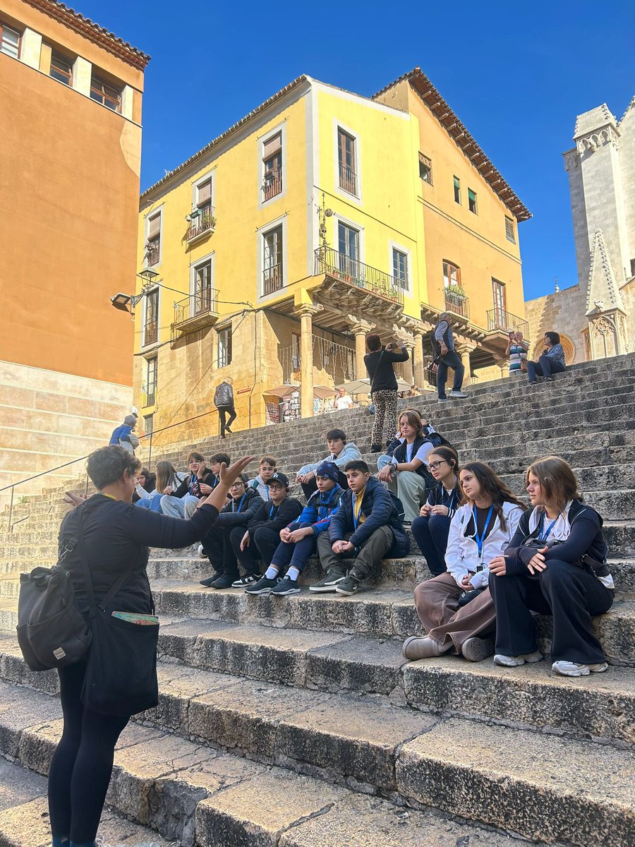 Institut Ramon de la Torre tweet media