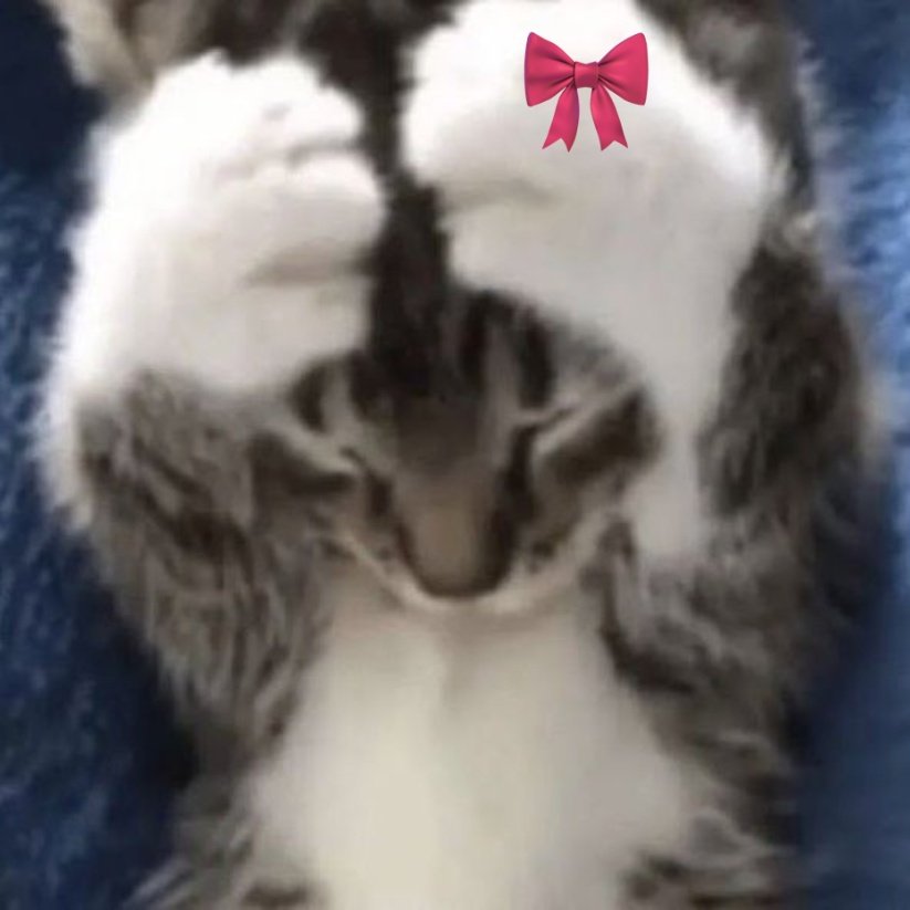aeriscae's tweet photo. ̊୨ৎ https://t.co/Pt4inCEfgL