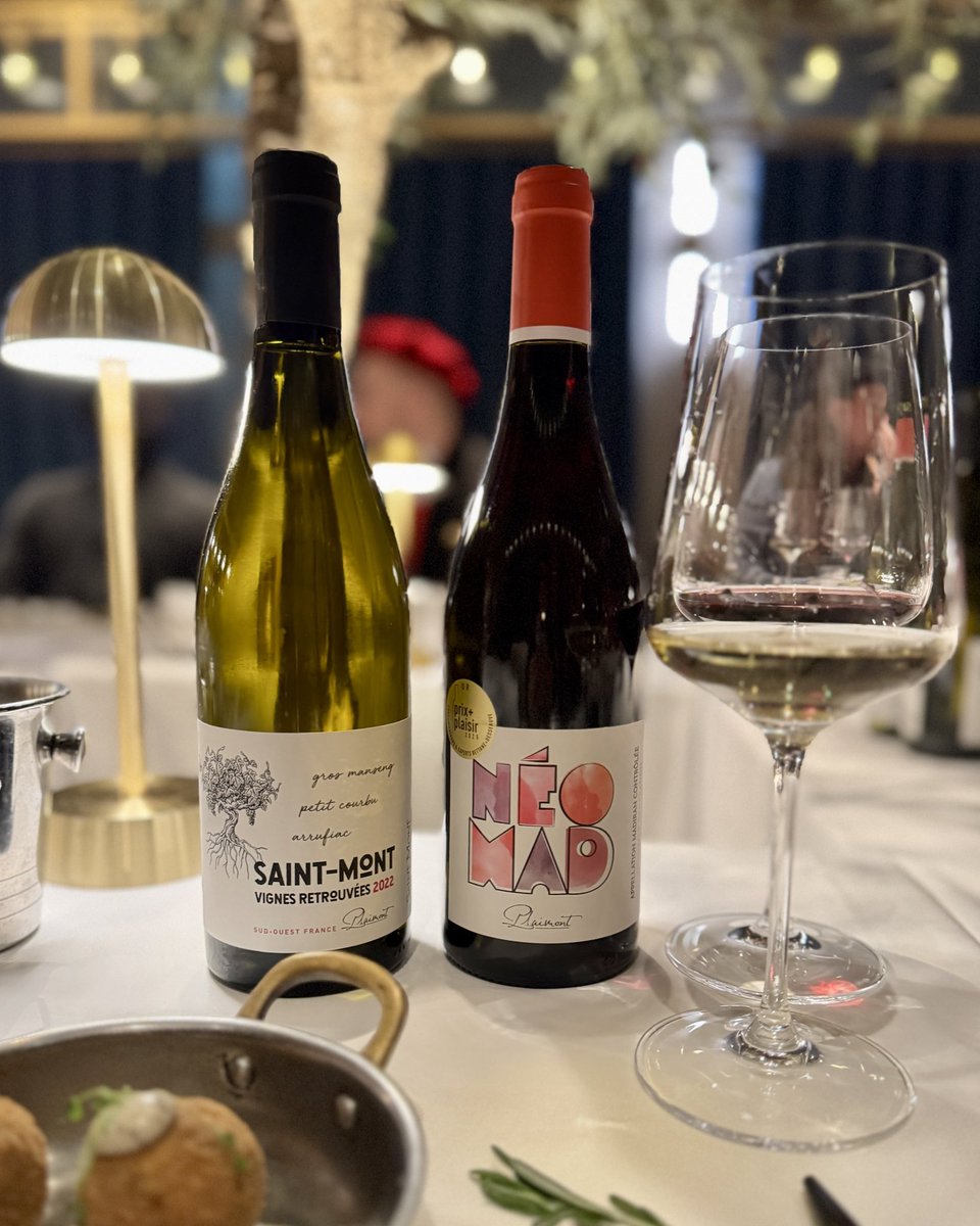 Caroline X.H. Lin • DipWSET tweet media