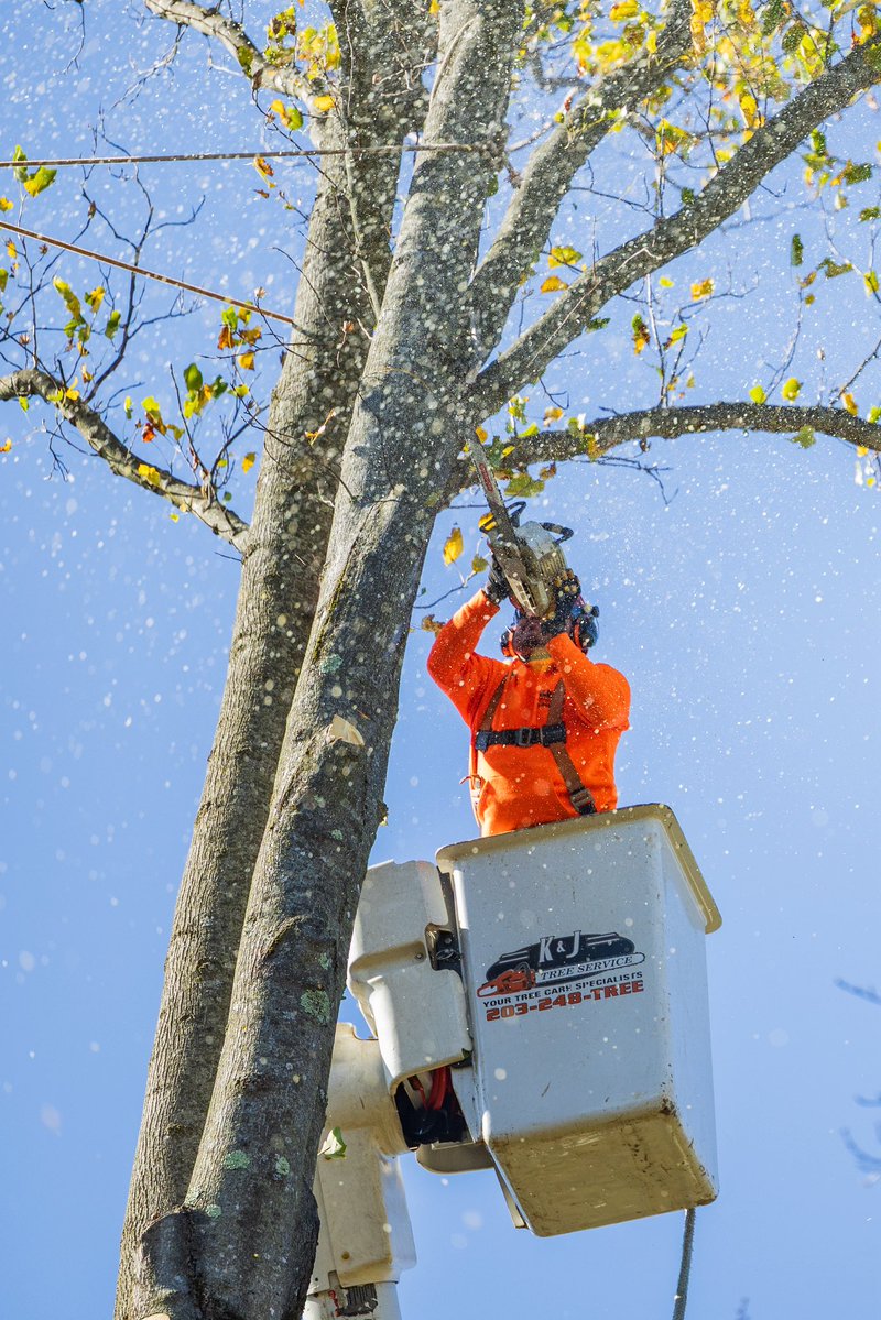KJTreeService's tweet image. All the way up 🌳🆙☝️
-
-
-
#TreeService #TreeRemoval #TreeCare #TreeExperts #TreeTrimming #TreeWork #StumpGrinding #TreeHealth #ArboristLife #TreeMaintenance #EmergencyTreeService