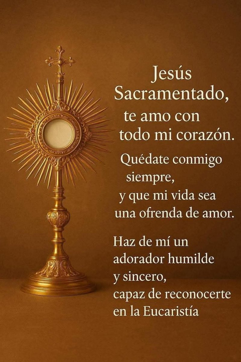 Señor, no soy digno de que entres en mi casa, pero una palabra tuya bastará para sanarme 🙏