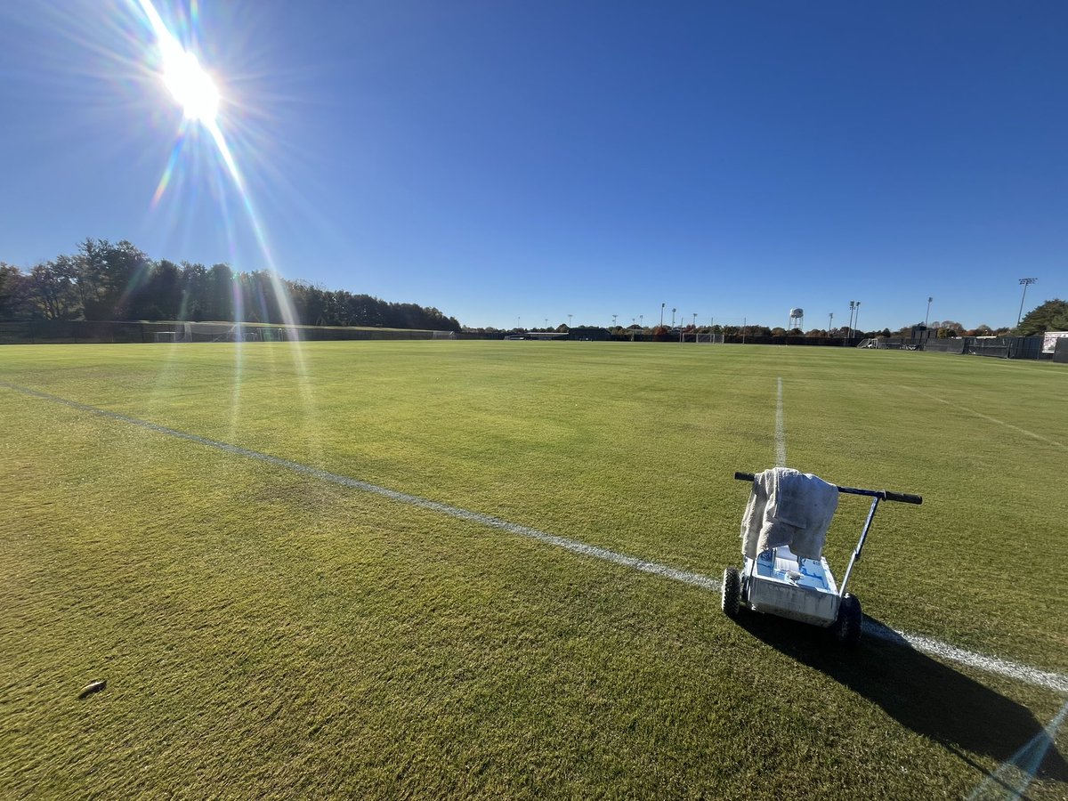 Soaking up this sunshine ☀️